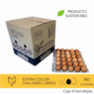 Huevos Extra Color 180 Unidades