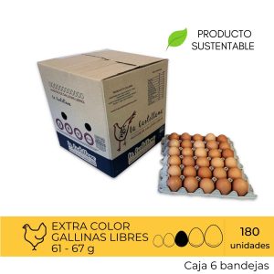 Huevos Gallina Feliz Extra Color 180 Unidades
