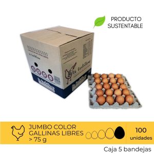 Huevos Gallina Feliz Jumbo Color 100 Unidades
